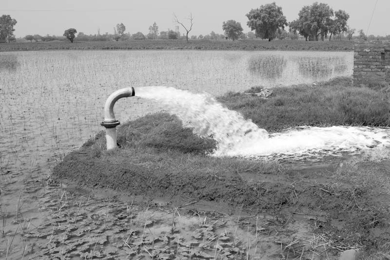 Impact of Green Revolution on Water Resources in India - electricity-driven tubewell withdrawing groundwater for irrigation of paddy fields in Mansa district, Punjab